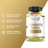 Ashwagandha gummies for anxiety dietary supplement by Turquoise Alder with stress reduction and mood support