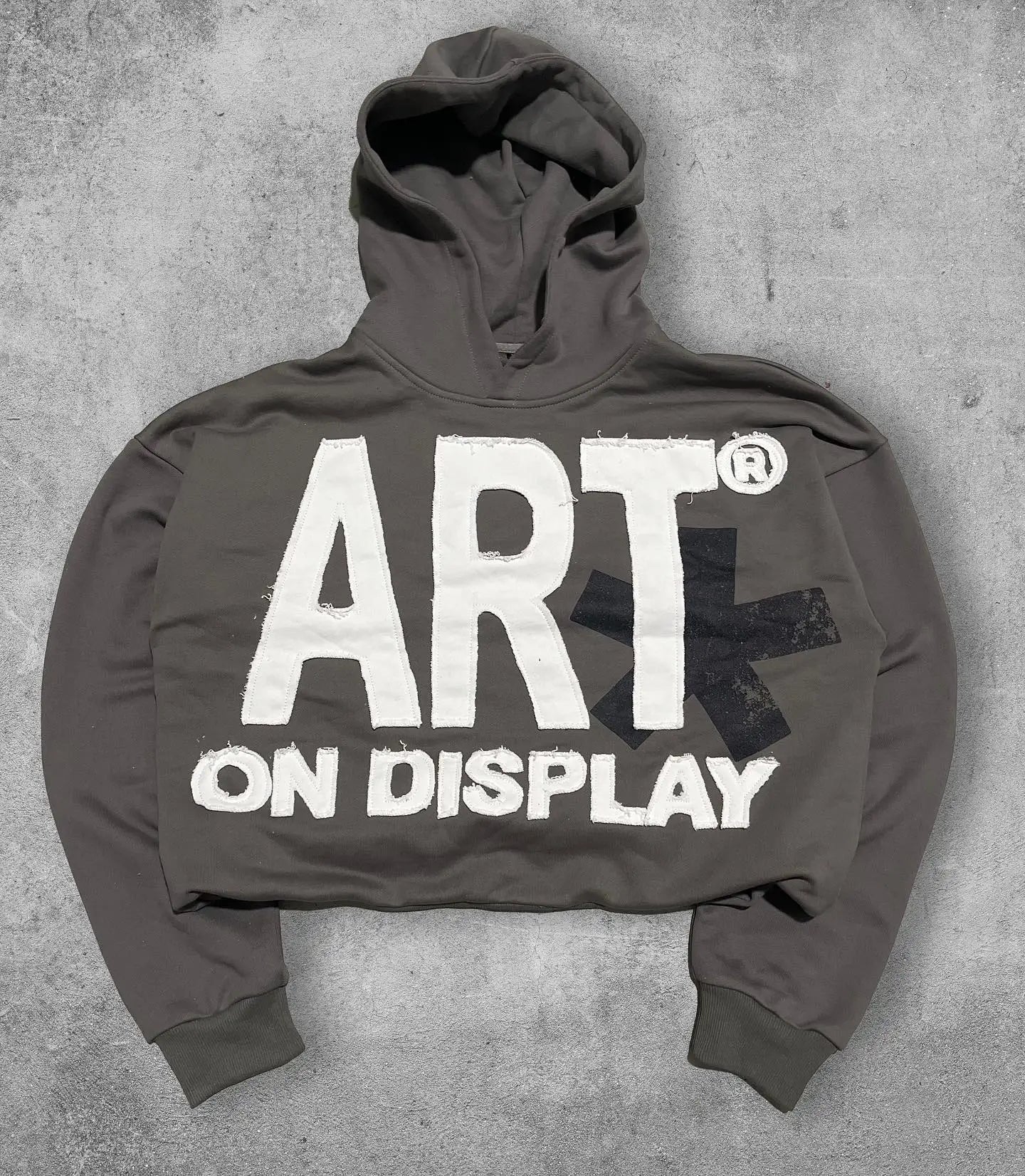 Vintage Y2K hoodie unisex in dark gray with ART on DISPLAY graphic and cropped design